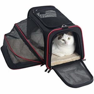 best cat carrier for plane reddit