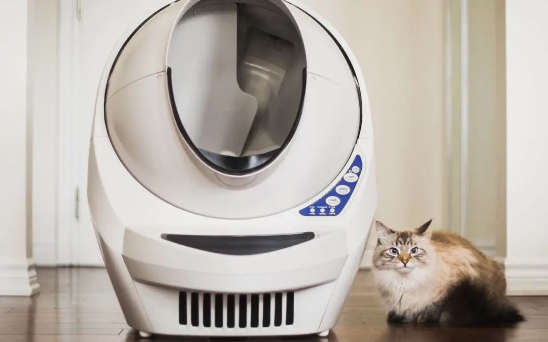 Litter Robot 2 Automatic Litter Box Review Pet