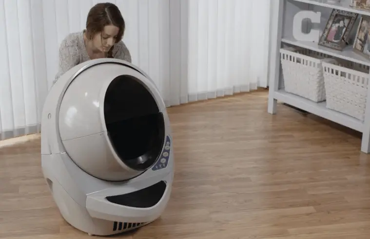 litter robot setup