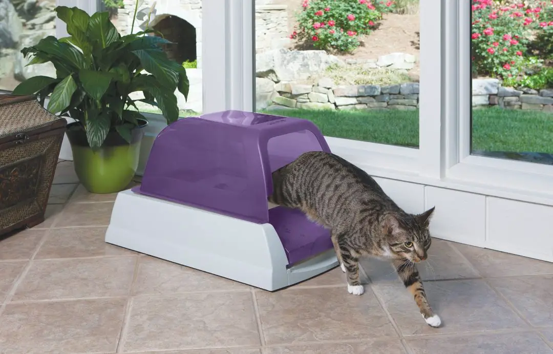 ScoopFree Litter Box ? Review Pet