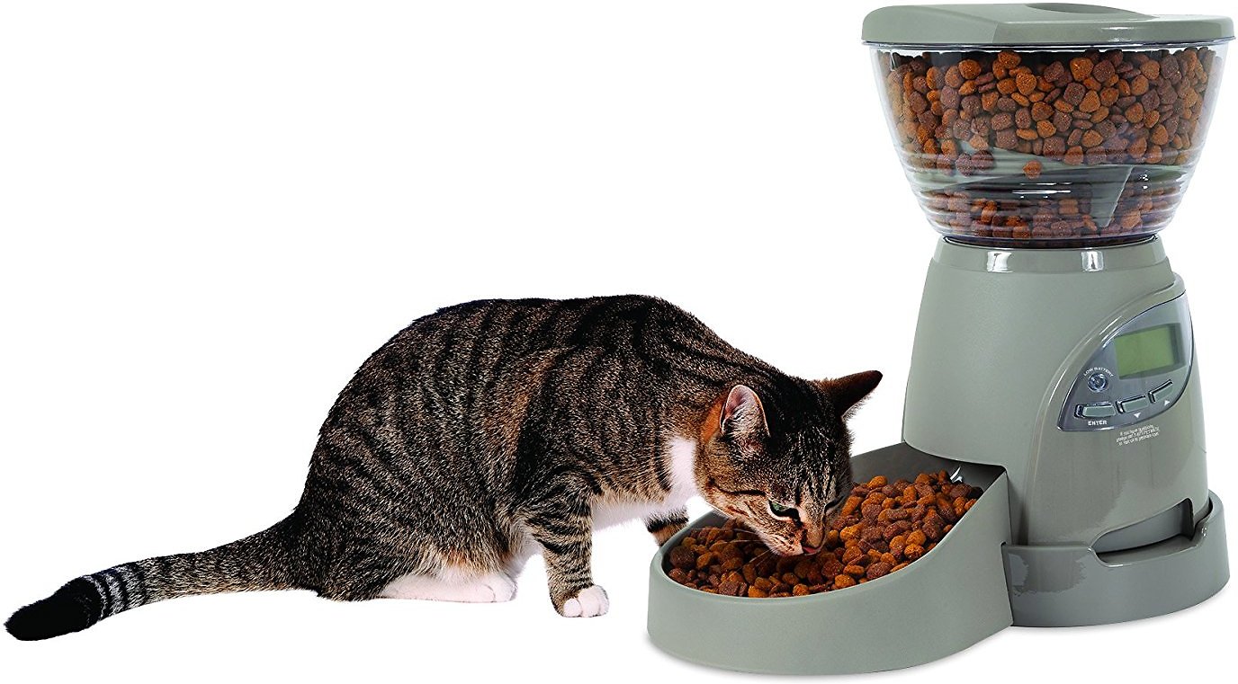 Petmate Portion Right Programmable Food Dispenser Review Pet